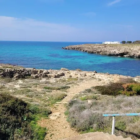 Numero Uno * Torre Suda
